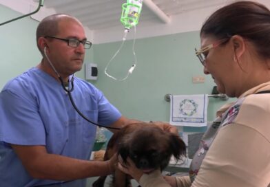 Abre sus puertas consultorio veterinario en ciudad Sandino.
