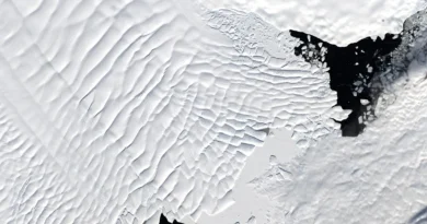 Hallazgo impresionante en la Antártida: científicos revelaron un mundo oculto bajo el hielo