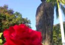 A la Madre de la Patria, el homenaje infaltable