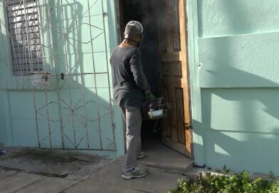 Mantenerse libre del mosquito Aedes Aegypti, prioridad para preservar la salud.