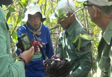 Especialistas de la UNESCO y del equipo técnico de la Reserva de Biosfera Península de Guanahacabibes participan en el taller MangRes Cuba.