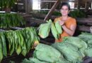 La mujer cubana de estos tiempos