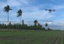 Fomentan el uso de drones en los campos de Pinar del Río (+Video)