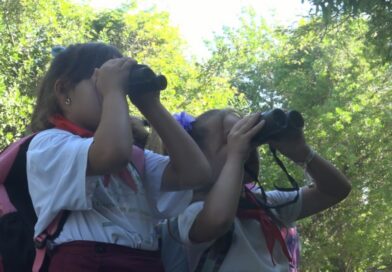 La comunidad de El Valle acoge la décimo tercera edición del festival de aves Migratorias.